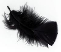 Danmore - Fjer 5 G. - Sort