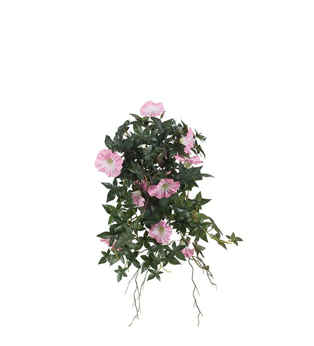 Mr. Plant - Blomst for Dagen - 8246-20-1