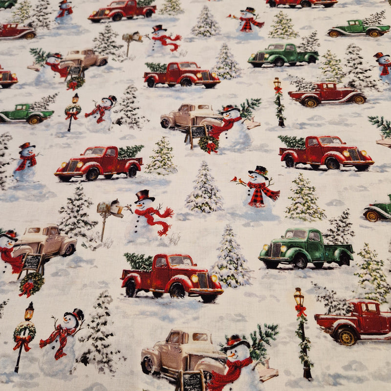 Timeless Treasures - Patchworkstof Frosty Delights #2639 - 2881-WHI