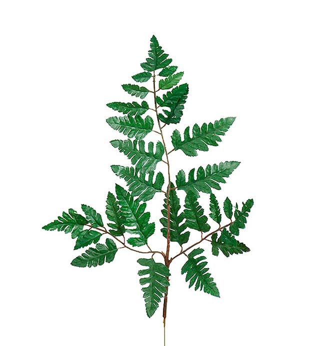 Mr. Plant - Læderblad - 6376-90