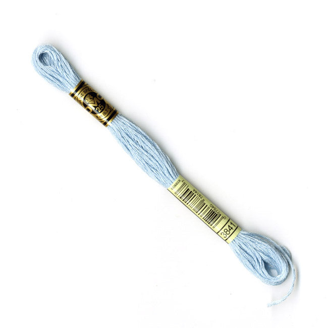 DMC - Broderigarn - 3841